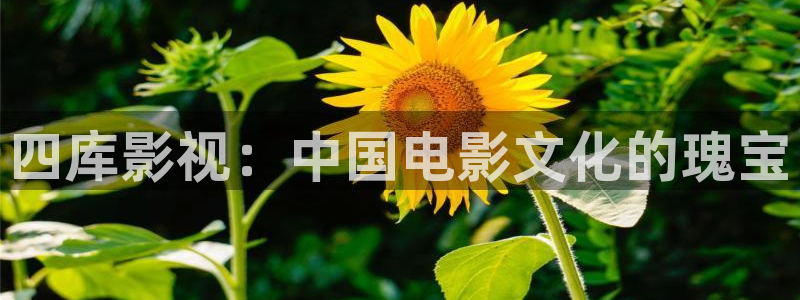 韩国影视免费在线观看：四库影视：中国电影文化的瑰宝