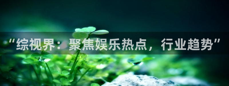 韩国影视：“综视界：聚焦娱乐热点，行业趋势”