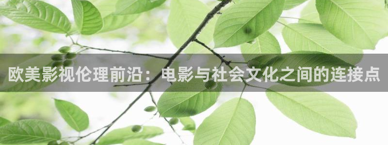 韩国影视电影：欧美影视伦理前沿：电影与社会文化之间的连接点