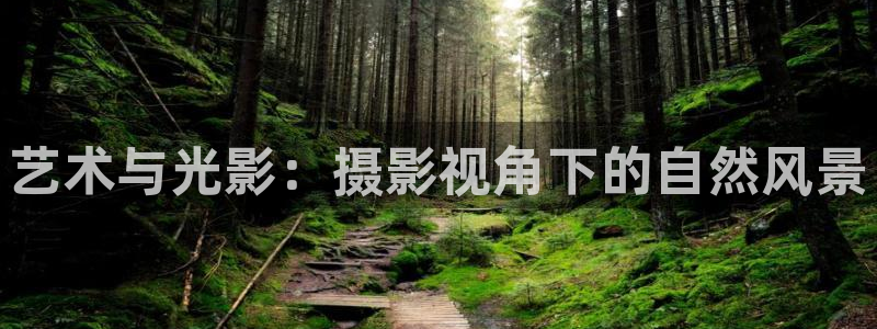 韩国影视在线免费观看：艺术与光影：摄影视角下的自然风景