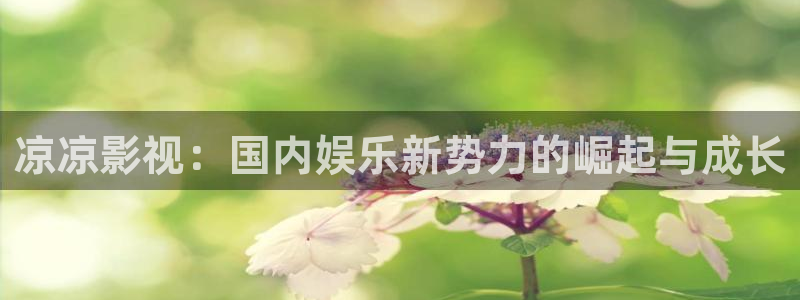韩国影视免费观看：凉凉影视：国内娱乐新势力的崛起与成长