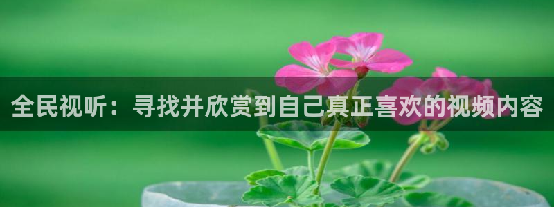 韩国影视：全民视听：寻找并欣赏到自己真正喜欢的视频内容