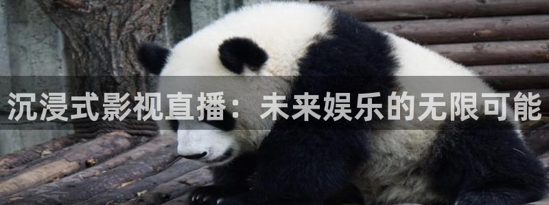 韩国影视大全：沉浸式影视直播：未来娱乐的无限可能