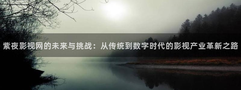 八戒韩国影视：紫夜影视网的未来与挑战：从传统到数字时代的影视产业革新之路