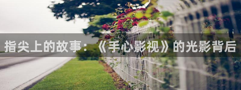 韩国影视推荐：指尖上的故事：《手心影视》的光影背后