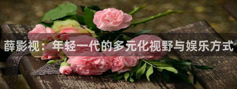 必胜韩国影视：薛影视：年轻一代的多元化视野与娱乐方式
