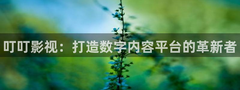 必胜韩国影视：叮叮影视：打造数字内容平台的革新者
